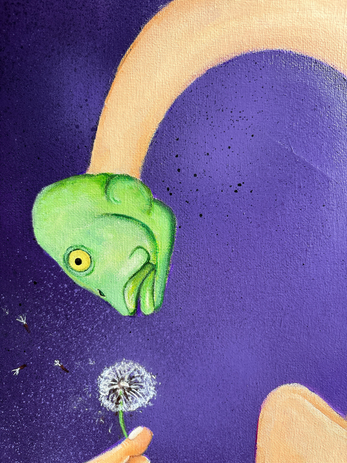 One Fish One Wish