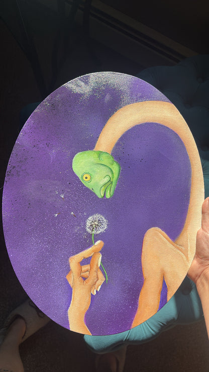 One Fish One Wish