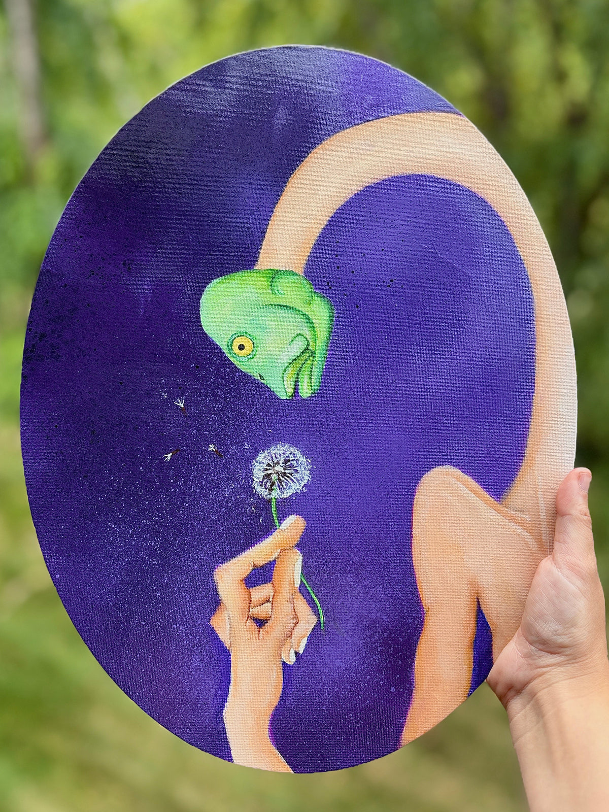 One Fish One Wish